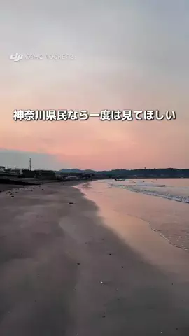 みける|神奈川発のおでかけカップルのTikTok投稿