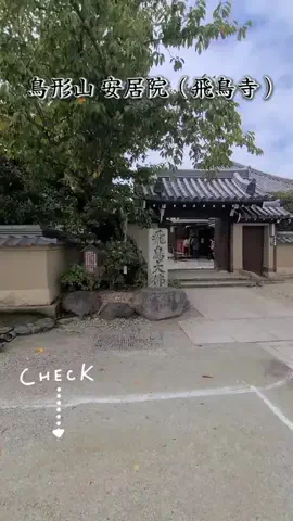 hiroのTikTok投稿