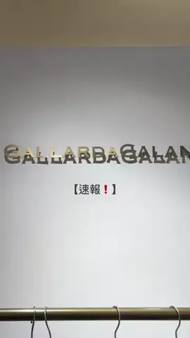 モリのTikTok投稿