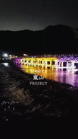 旅するpippiのTikTok投稿