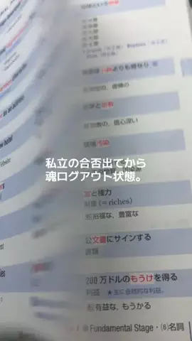 宮崎辛麺のTikTok投稿