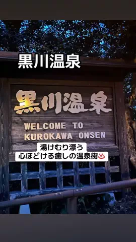 ぷりんのTikTok投稿