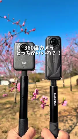 とちひめ🍓のTikTok投稿