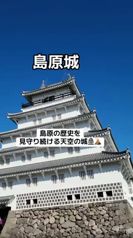ぷりんのTikTok投稿