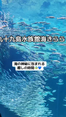 ぷりんのTikTok投稿
