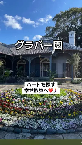 ぷりんのTikTok投稿