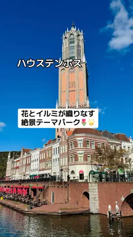 ぷりんのTikTok投稿
