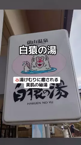 ぷりんのTikTok投稿