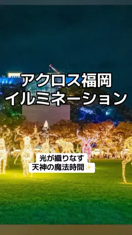 ぷりんのTikTok投稿