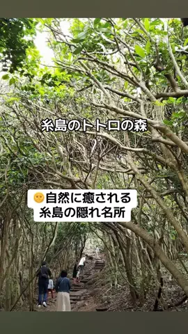 ぷりんのTikTok投稿
