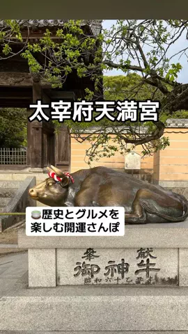 ぷりんのTikTok投稿