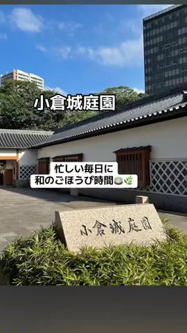 ぷりんのTikTok投稿