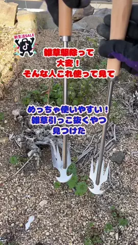 tomo_tani_LifeのTikTok投稿