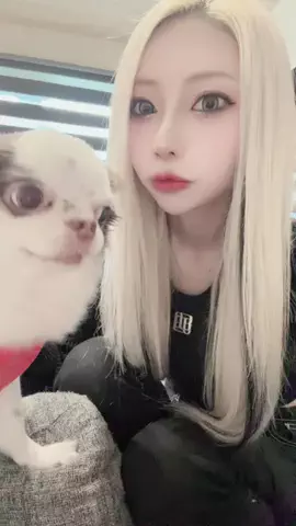 きなこもち🐶☁️のTikTok投稿