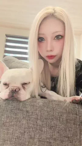 きなこもち🐶☁️のTikTok投稿