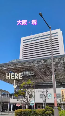 高齢乙女のTikTok投稿