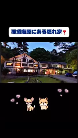 りんたまおのTikTok投稿