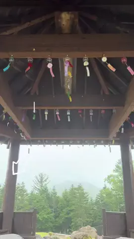 とん（旅動画）のTikTok投稿
