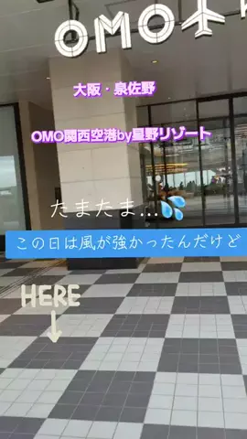 高齢乙女のTikTok投稿