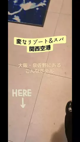 高齢乙女のTikTok投稿