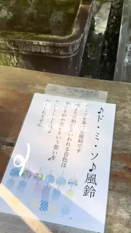とん（旅動画）のTikTok投稿
