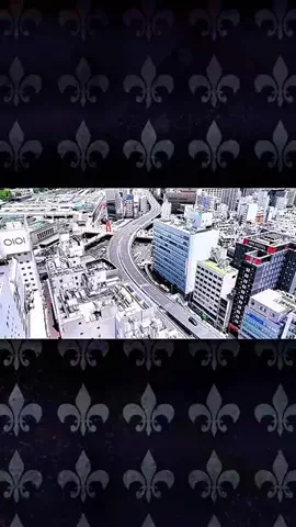 りんたまおのTikTok投稿