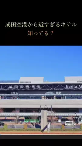りんたまおのTikTok投稿