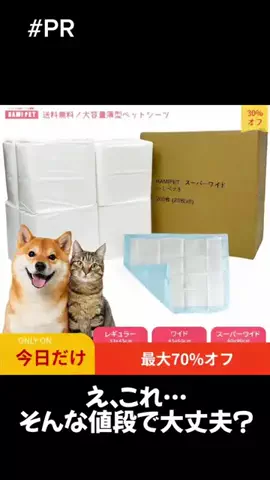 ねこまんま₍^..^₎のTikTok投稿