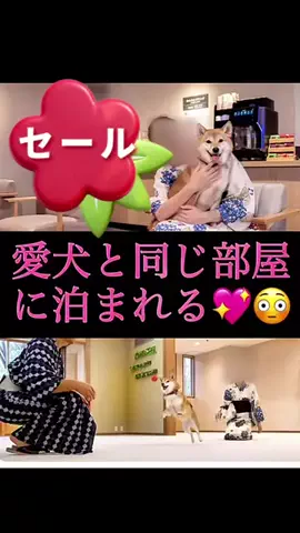 りんたまおのTikTok投稿