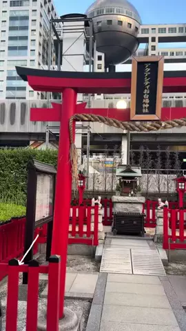 とん（旅動画）のTikTok投稿