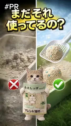 ねこまんま₍^..^₎のTikTok投稿