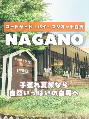 あるママのTikTok投稿