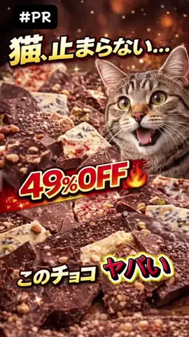 ねこまんま₍^..^₎のTikTok投稿