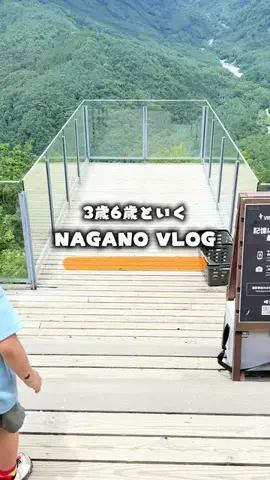 あるママのTikTok投稿