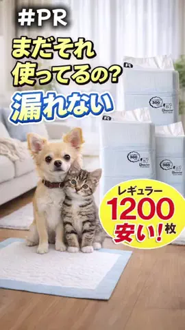 ねこまんま₍^..^₎のTikTok投稿