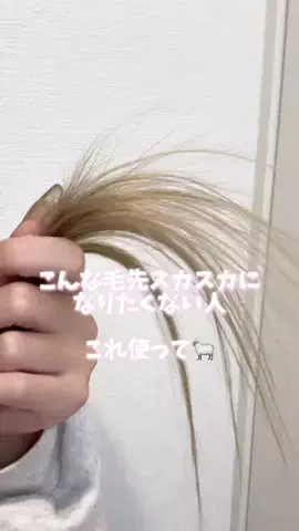 989🐶🐶のTikTok投稿