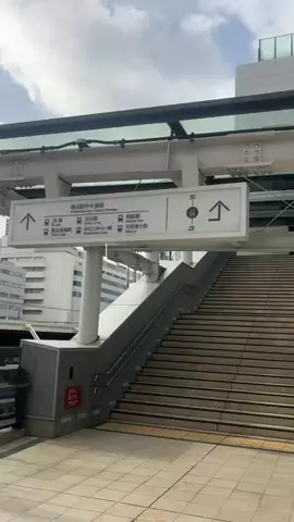 韓国メロンのTikTok投稿