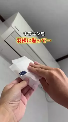 えび｜ズボラでも整うマイペースな暮らしのTikTok投稿