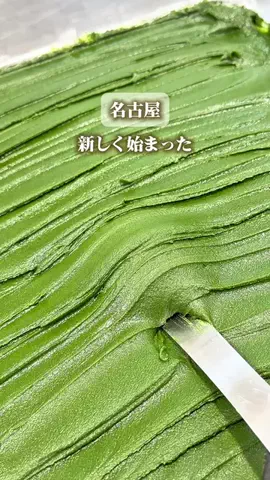 てんちゃん⌇名古屋おでかけのTikTok投稿