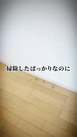 あい｜主婦の正直レビューと裏ワザのTikTok投稿