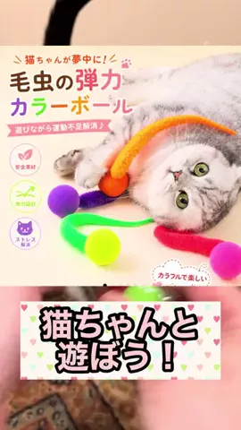 キラリンwithハチワレ猫🐈🐈のTikTok投稿
