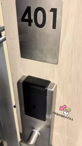 ルイハナちゃんのTikTok投稿