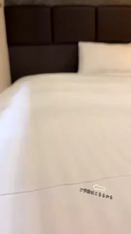 ルイハナちゃんのTikTok投稿