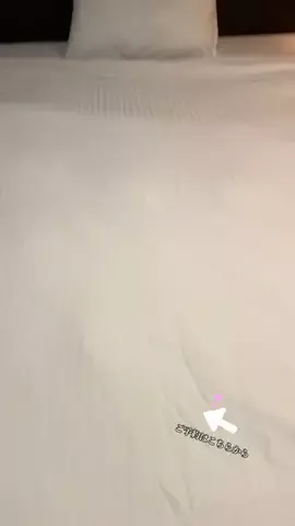 ルイハナちゃんのTikTok投稿
