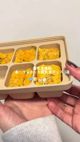 のぴのTikTok投稿