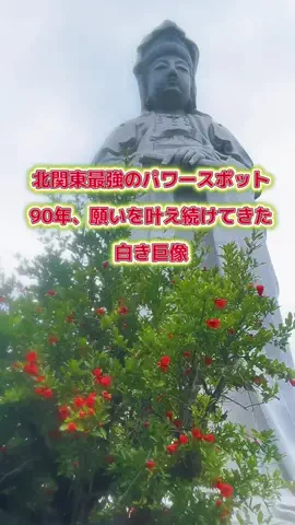 茨城と栃木の県境に住んでいますのTikTok投稿