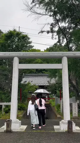 茨城と栃木の県境に住んでいますのTikTok投稿