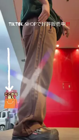 野獣のおっちゃんのTikTok投稿