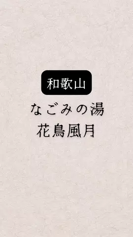 shuuublog/ホテル紹介のTikTok投稿