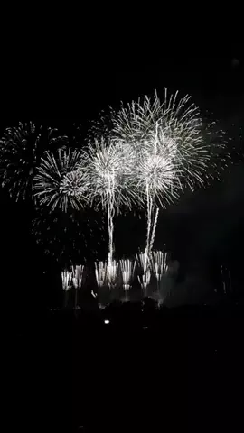日本一周バックパッカーのTikTok投稿